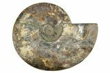 Cut & Polished Ammonite Fossil (Half) - Deep Crystal Pockets #342130-1